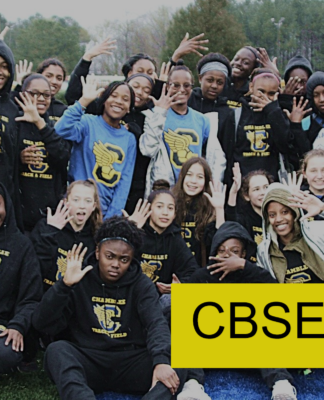 CBSE Class 12 Result 2019 LIVE UPDATES: 83.4% students crack 12th board exams